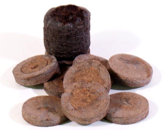 Jiffys de turba prensada: guía de uso en semillero