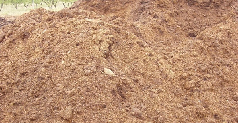 Gallinaza lista para su uso como abono en el huerto