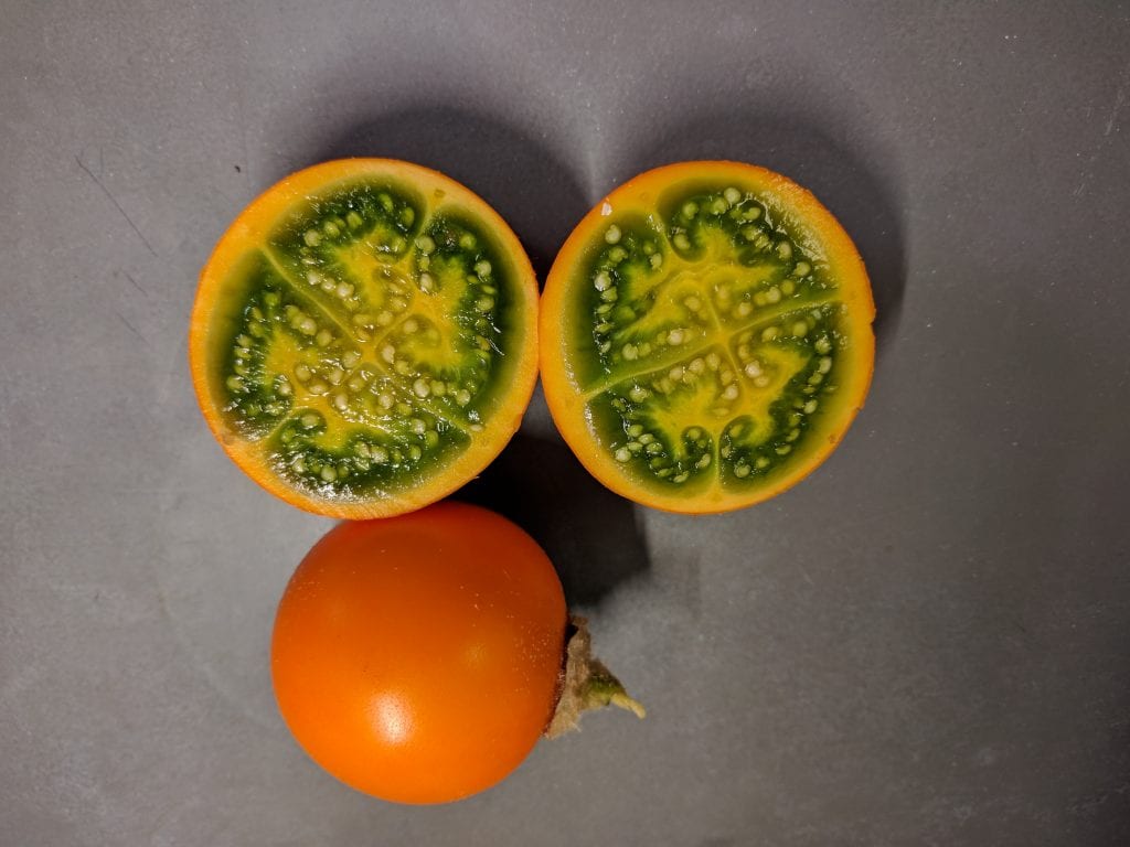 Lulo (Solanum quitoense): cultivo y cuidados en España