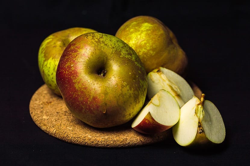Manzana reineta: cultivo, poda, recolección y conservación