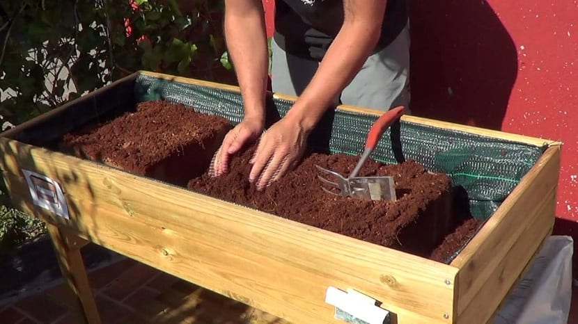 Mantenimiento de una mesa de cultivo con hortalizas de hoja