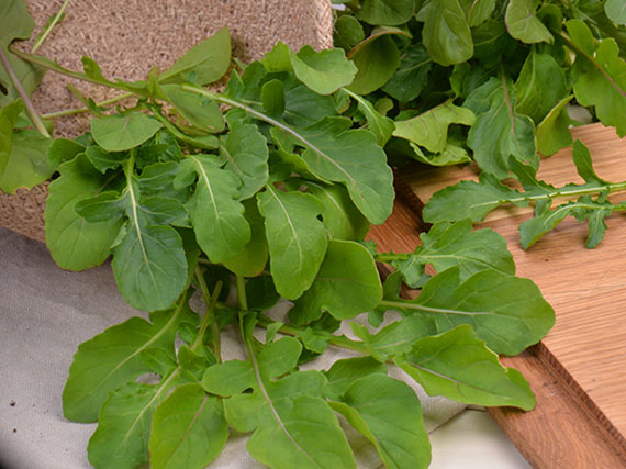 Mil hojas para tus ensaladas de invierno