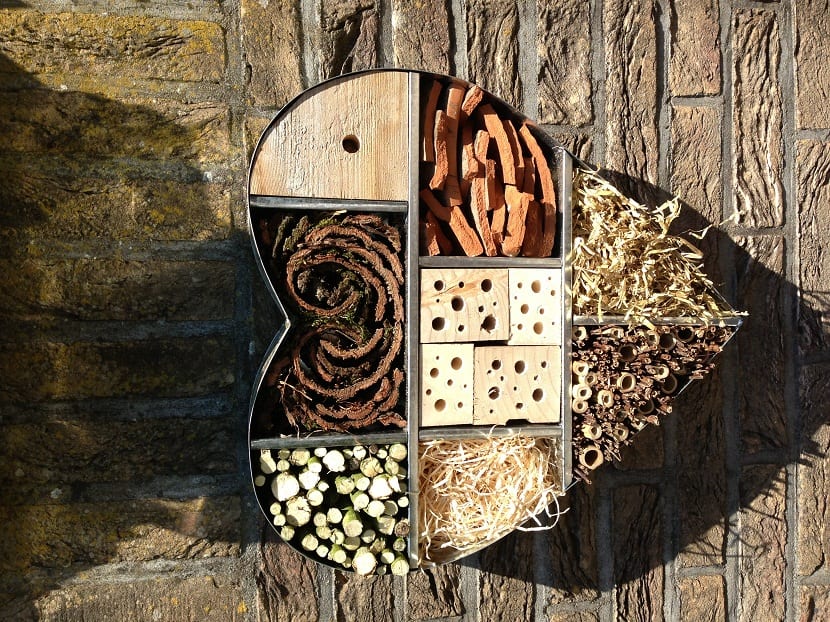 Hotel de insectos: para qué sirve y cómo hacerlo bien