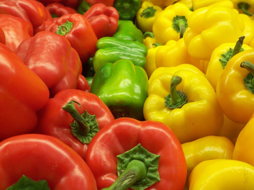 Pimiento morrón: cultivo, cuidados, plagas y propiedades