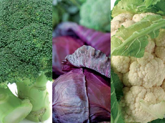 El suculento huerto del frío se siembra en verano