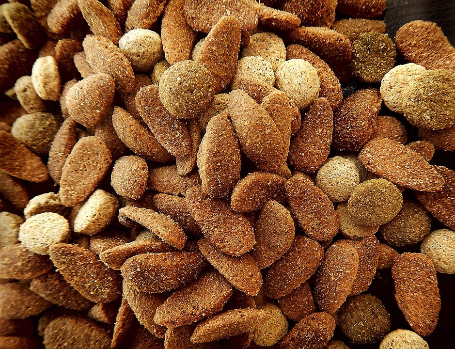 Abonos ricos en nitrógeno: minerales, orgánicos y dosis