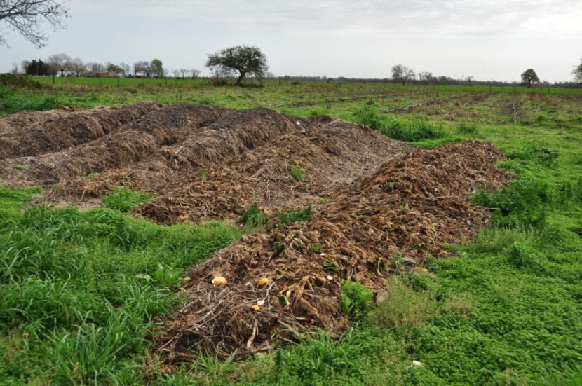 Abono orgánico aplicado sobre el suelo del huerto
