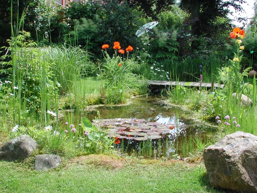 Huerto ecológico con bancales de hortalizas y flores acompañantes