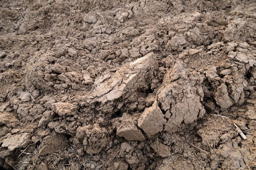 Suelo arcilloso agrietado por la sequía