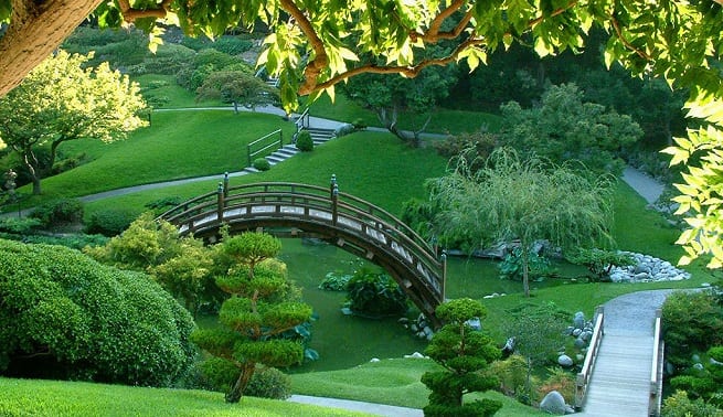 Jardín japonés con estanque, rocas y vegetación podada