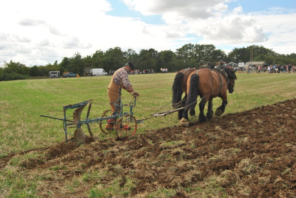 Arado manual: cómo labrar la tierra a mano sin dañarla