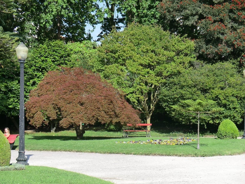 Jardines modernos de trazado contemporáneo
