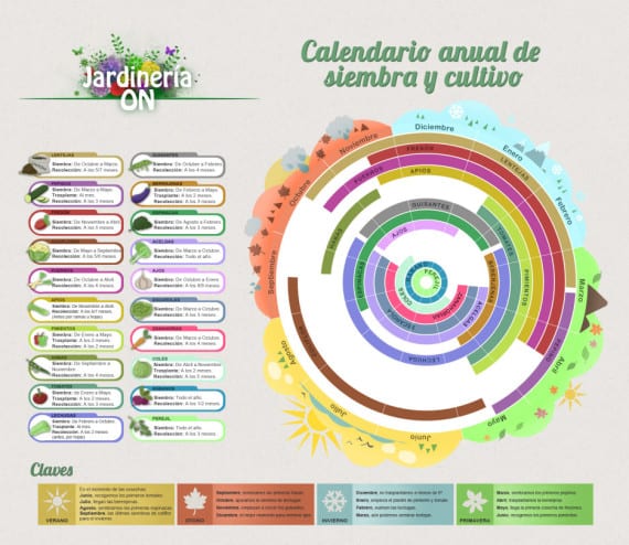 Calendario de cultivos del huerto mes a mes en España