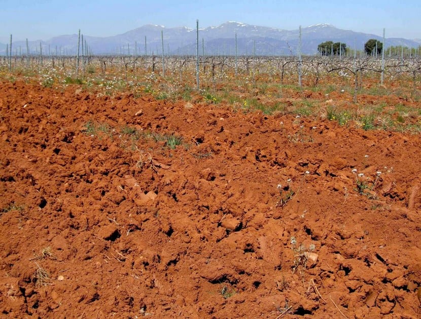 Cómo cambiar el pH del suelo del jardín paso a paso