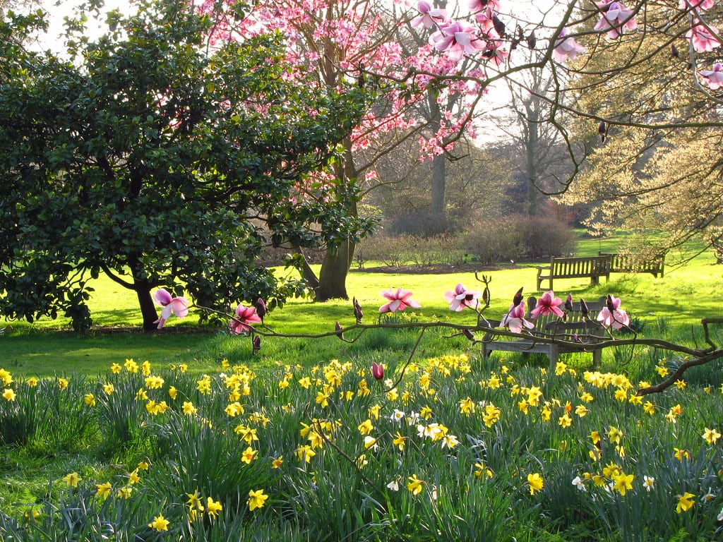 Jardines ingleses: características, plantas y diseño