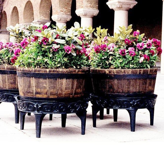 Jardinera con varias especies combinadas en flor