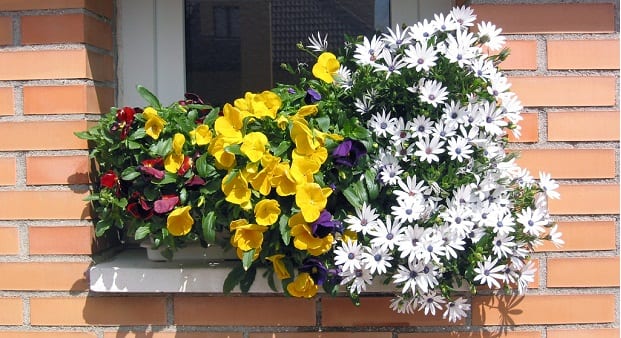 Jardineras combinadas en un balcón