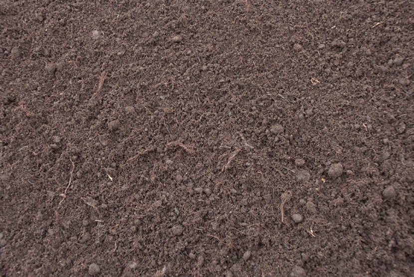 Turba negra de partícula fina, propensa a apelmazarse en maceta