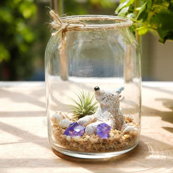 Cómo hacer un terrario de plantas paso a paso