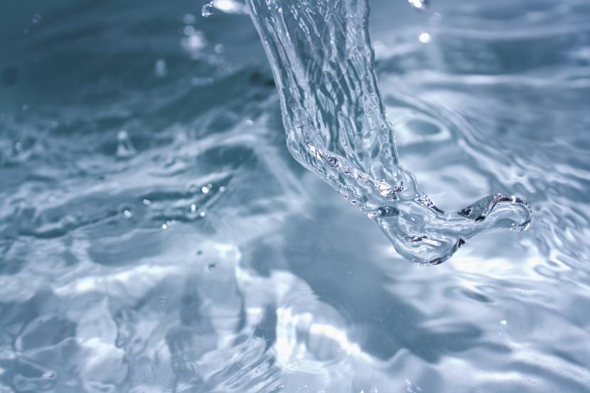 Agua destilada para regar: cuándo hace falta y cuándo no