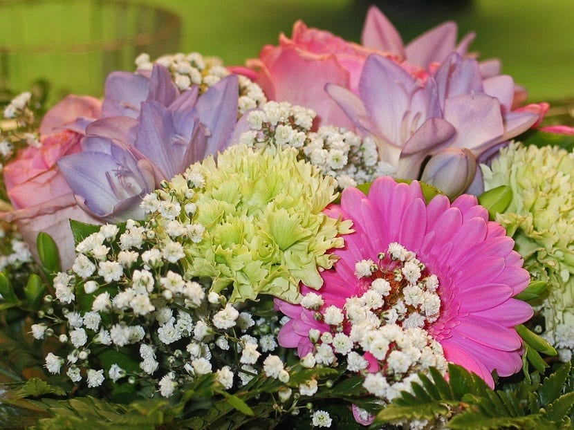 Qué flores regalar en cada ocasión y a cada persona