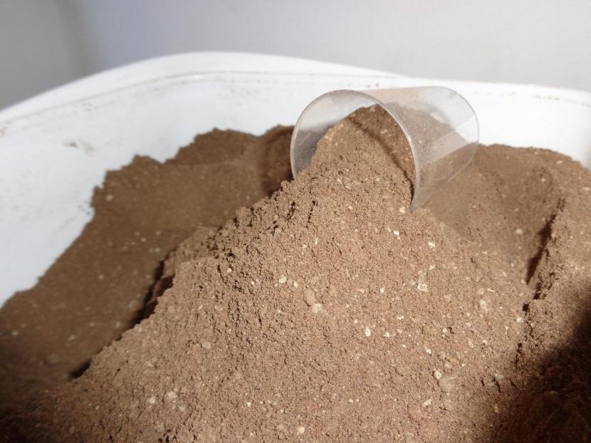 Guano: qué es, tipos, dosis y cómo usarlo sin quemar plantas