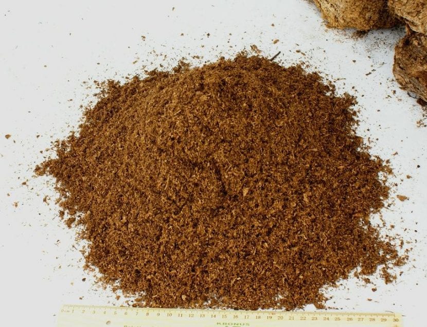 Turba rubia de textura fibrosa