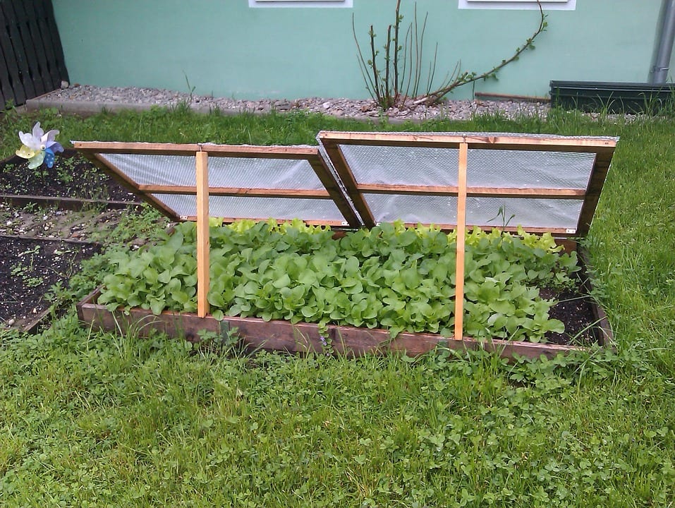 Cama fría para plantas: para qué sirve y cómo construirla