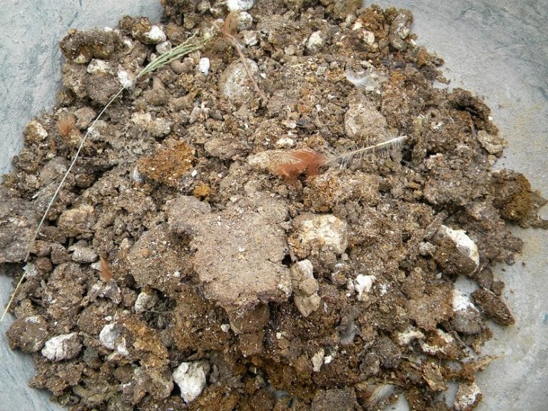 Gallinaza, estiércol de gallina listo para el compostaje