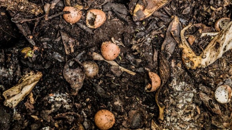 Compost maduro listo para incorporar al suelo del jardín