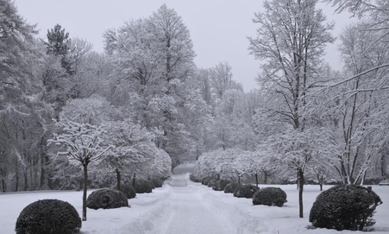 Jardín cubierto de nieve en pleno invierno