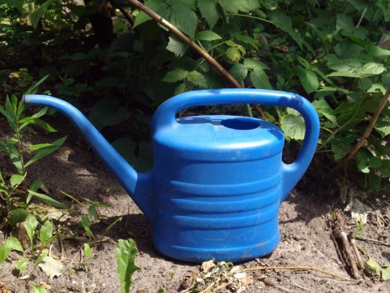 Regadera azul apoyada en el jardín