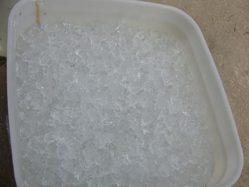 Detalle de agua en gel utilizada como sistema de riego durante las vacaciones