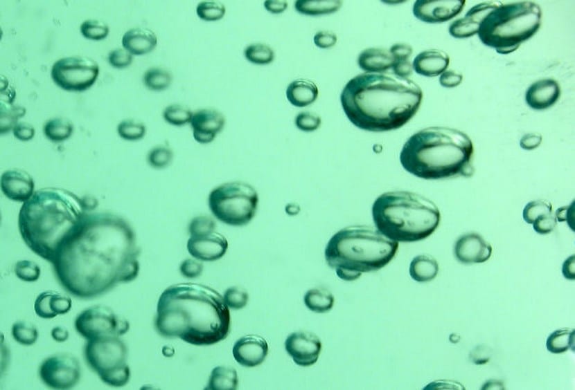 Bolsa de agua en gel colocada sobre el sustrato de una maceta