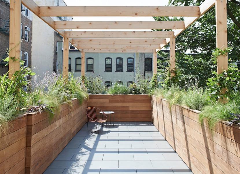 Pérgola de madera cubierta de vegetación