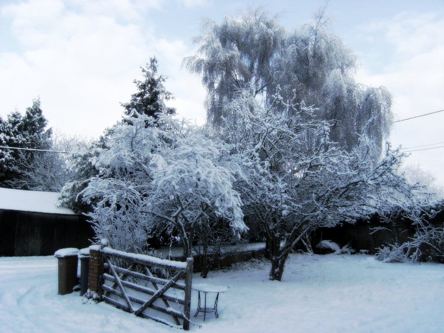 Cómo decorar el jardín para el invierno: guía práctica