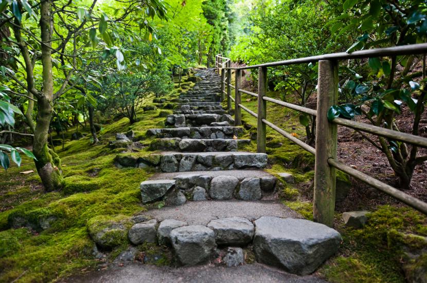 Escalones de piedra integrados en la vegetación del jardín