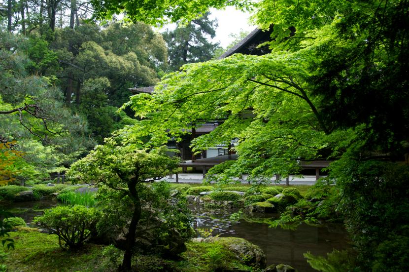 Composición de piedras y vegetación en un jardín de inspiración zen