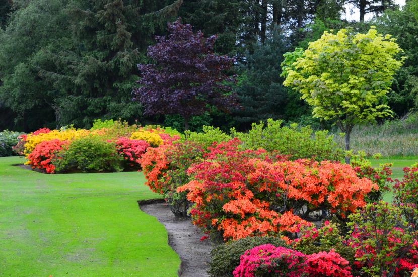 Cómo decorar mi jardín con poco dinero sin fallar