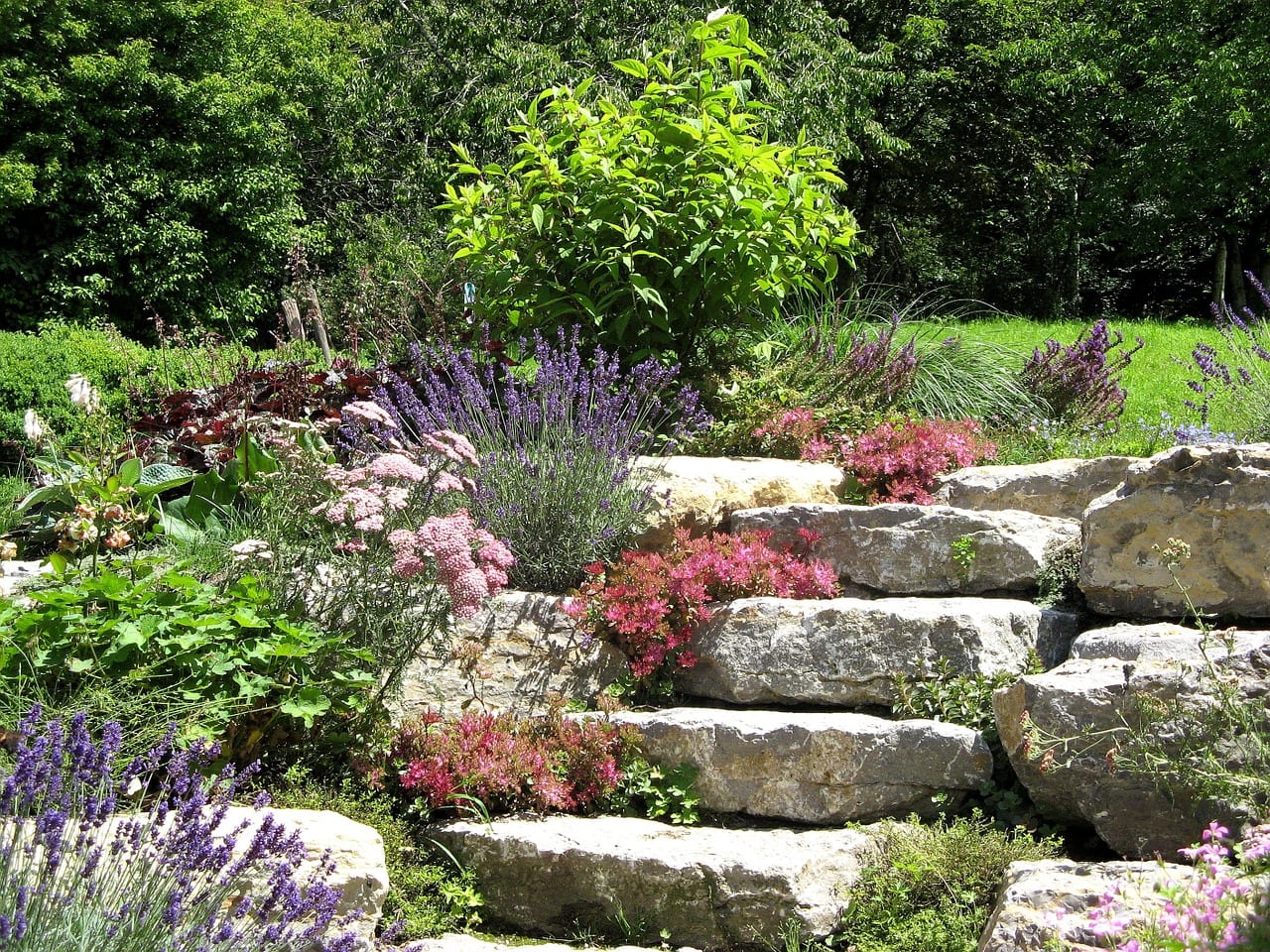 Decorar un jardín con piedras: guía práctica