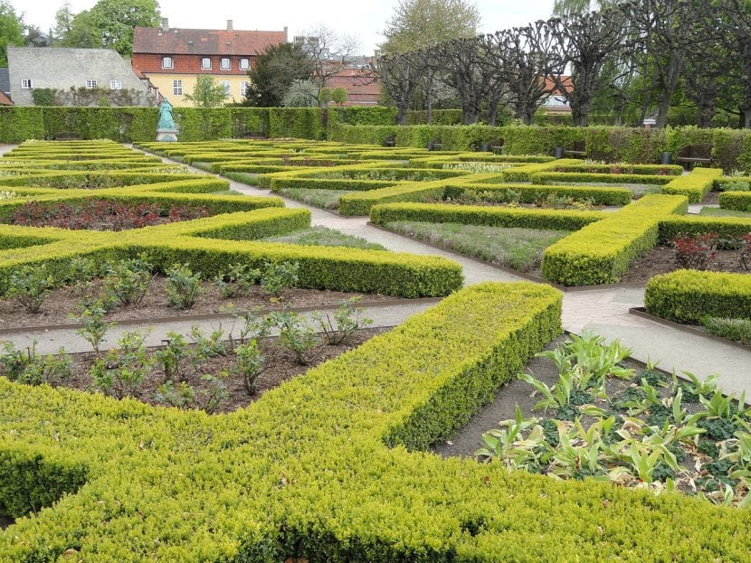 Parterre de flores en un jardín