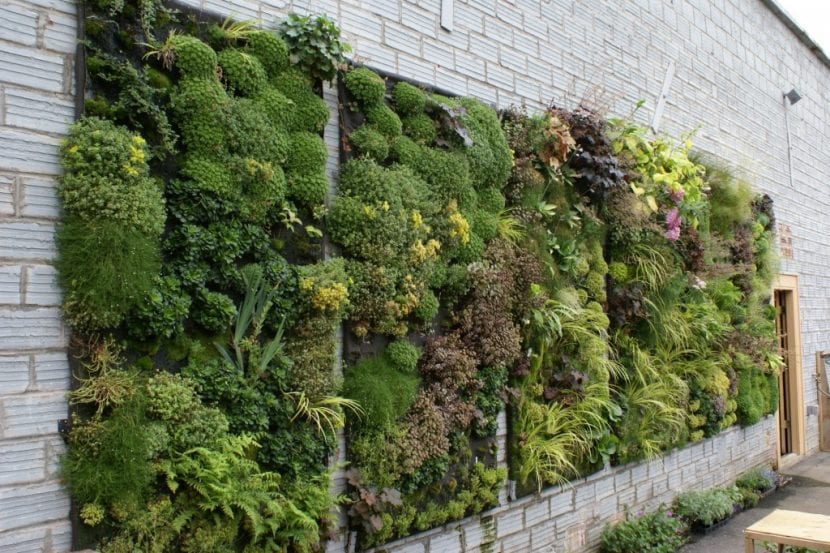 Jardín vertical cubriendo un muro con distintas especies
