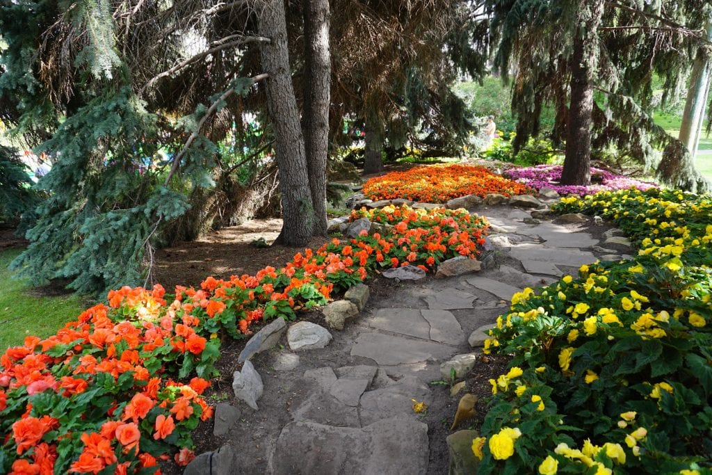 Jardín sin plagas: prevención, auxiliares y tratamientos
