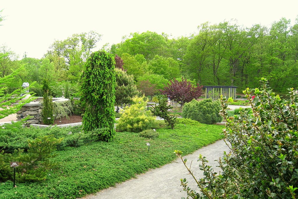 Consejos para cuidar el jardín durante todo el año