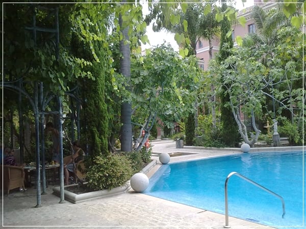 Jardín alrededor de la piscina: plantas y diseño