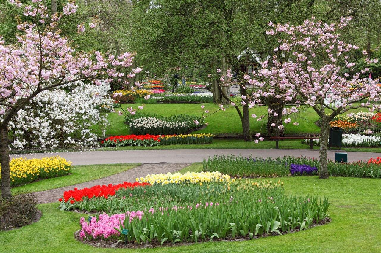 Cuidados del jardín en primavera: guía práctica