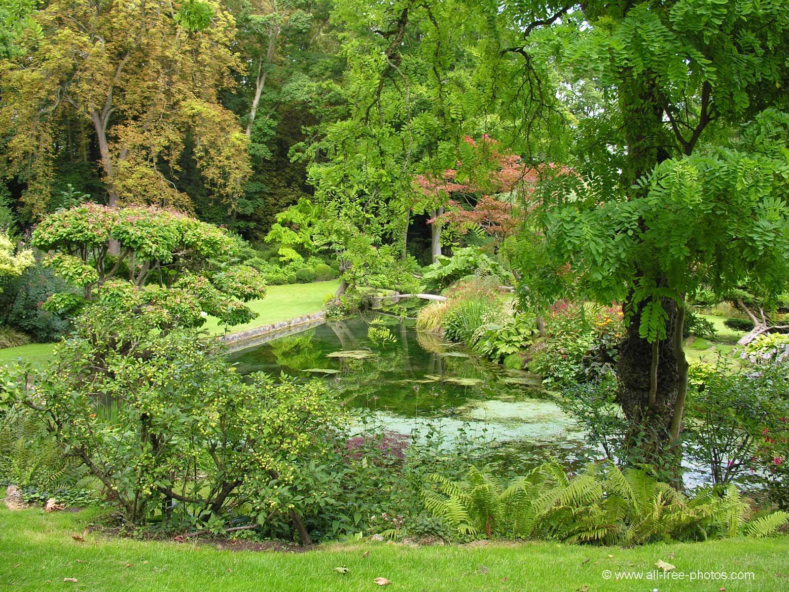 Diseñar un jardín grande: guía paso a paso desde el plano