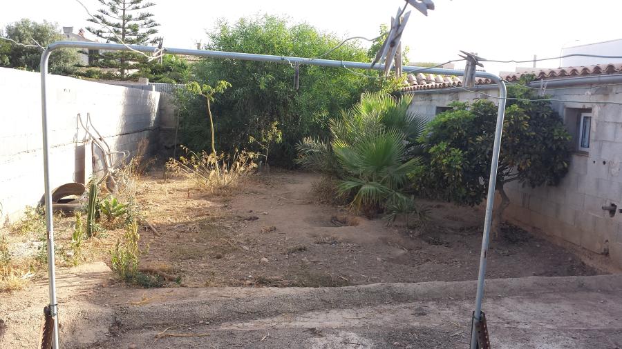 Diseñar un jardín: qué mirar antes de plantar nada