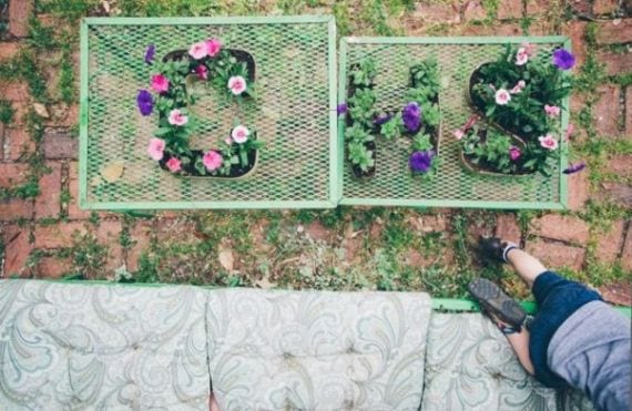 Letras con plantas: cómo escribir en el jardín