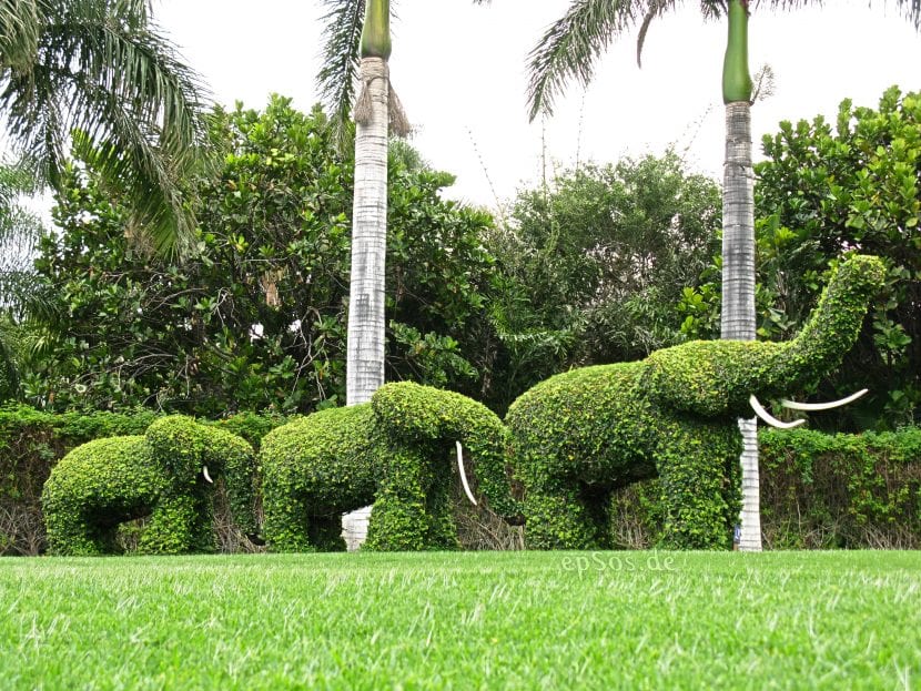 Figuras topiarias recortadas en un jardín